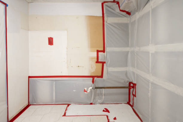 Best Crawl Space Mold Remediation  in Kimball, NE