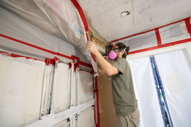 Professional Mold Inspection, Removal & Remediation in Kimball, NE